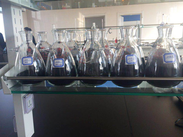 ��C����̿